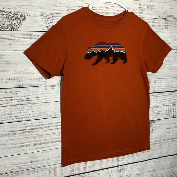 Patagonia Fitz Roy Bear Organic T-Shirt Small Slim Fit - Picture 5 of 16